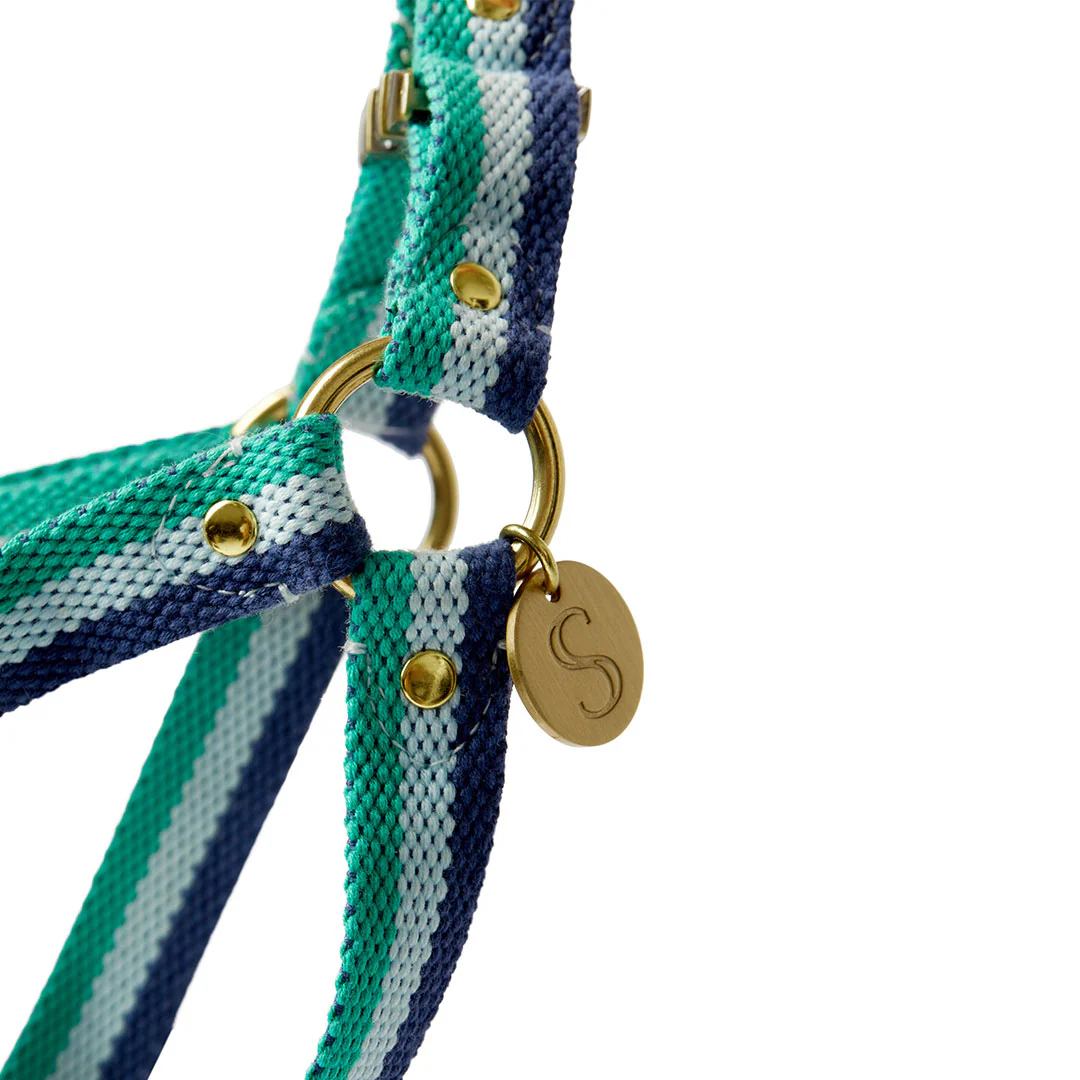 3-Stripe Step In Harness - Blue/Green - Image 3