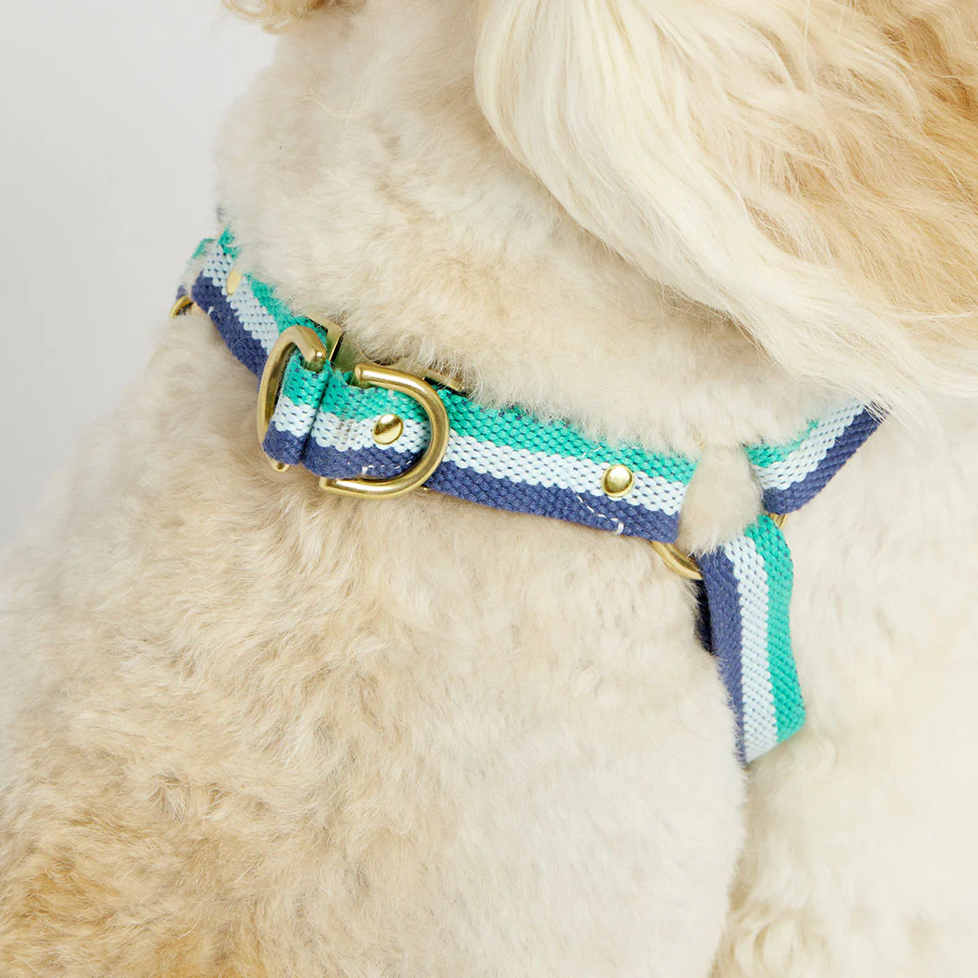 3-Stripe Step In Harness - Blue/Green - Image 6