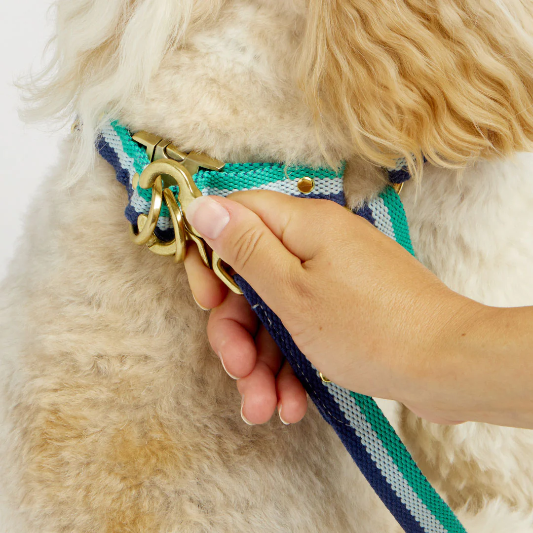 3-Stripe Step In Harness - Blue/Green - Image 7