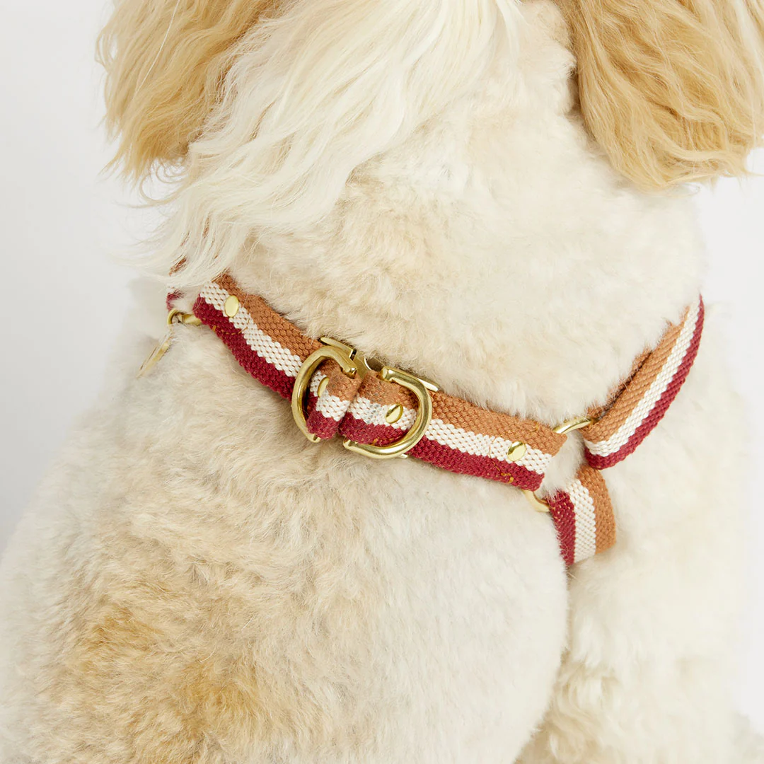 3-Stripe Step In Harness - Red/Toffee - Image 3