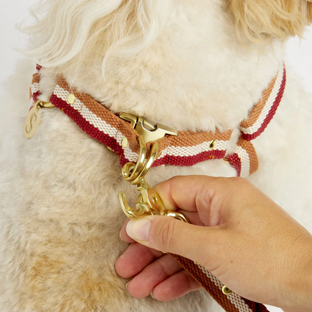 3-Stripe Step In Harness - Red/Toffee - Image 4