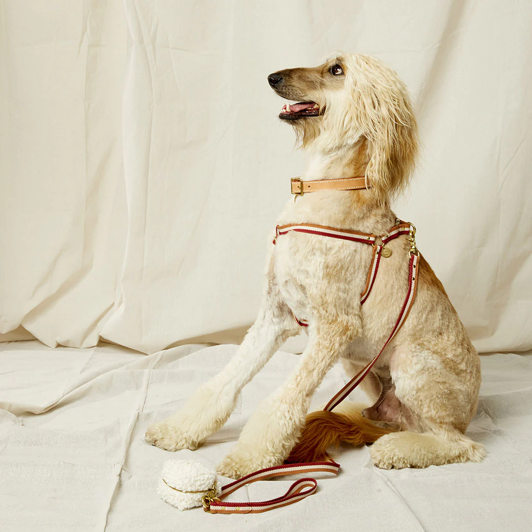 3-Stripe Step In Harness - Red/Toffee - Image 7