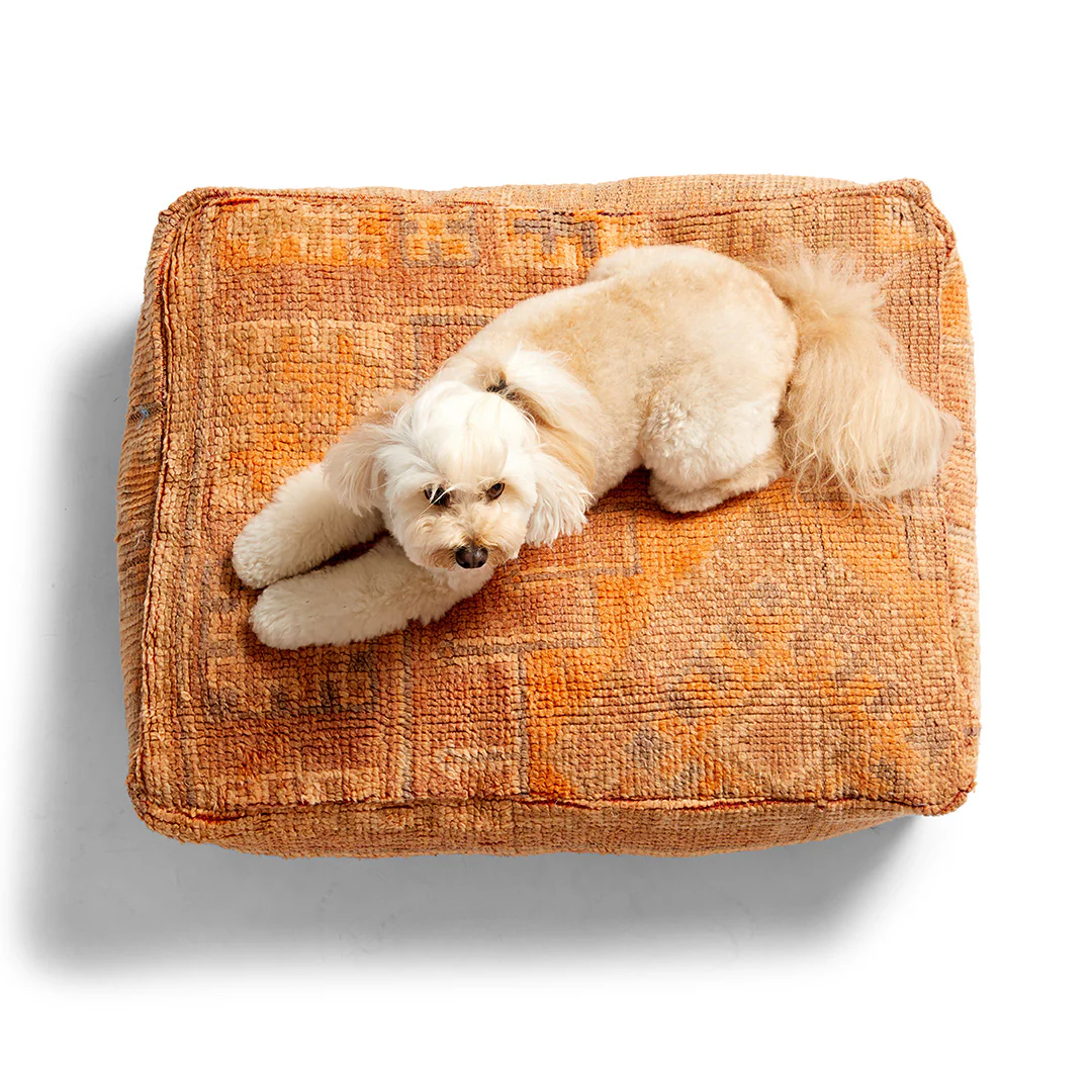 Boujad Dog Bed, Medium - Item #46 - Image 4