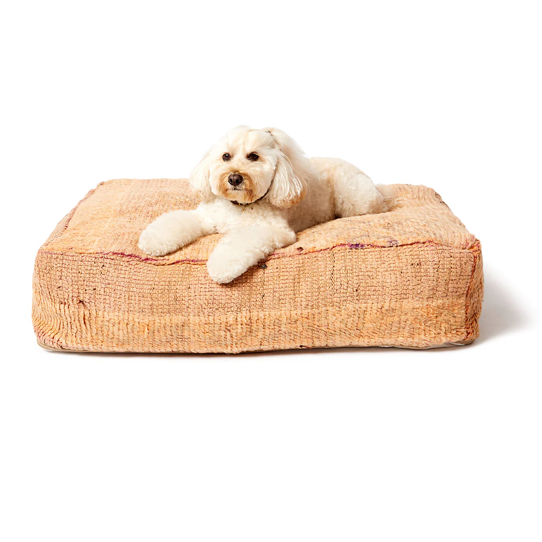 Boujad Dog Bed, Medium - Item #48 - Image 3