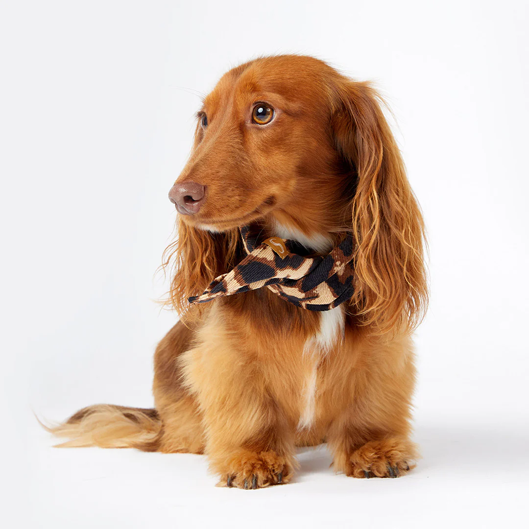Corduroy Bandana - Leopard - Image 3