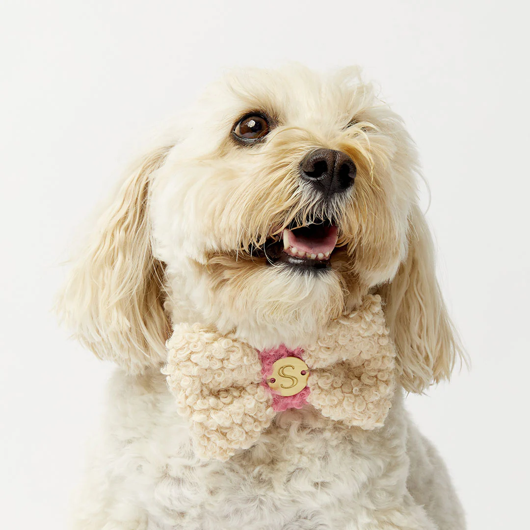 Curly Bow Tie - Bone/Hot Pink - Image 3