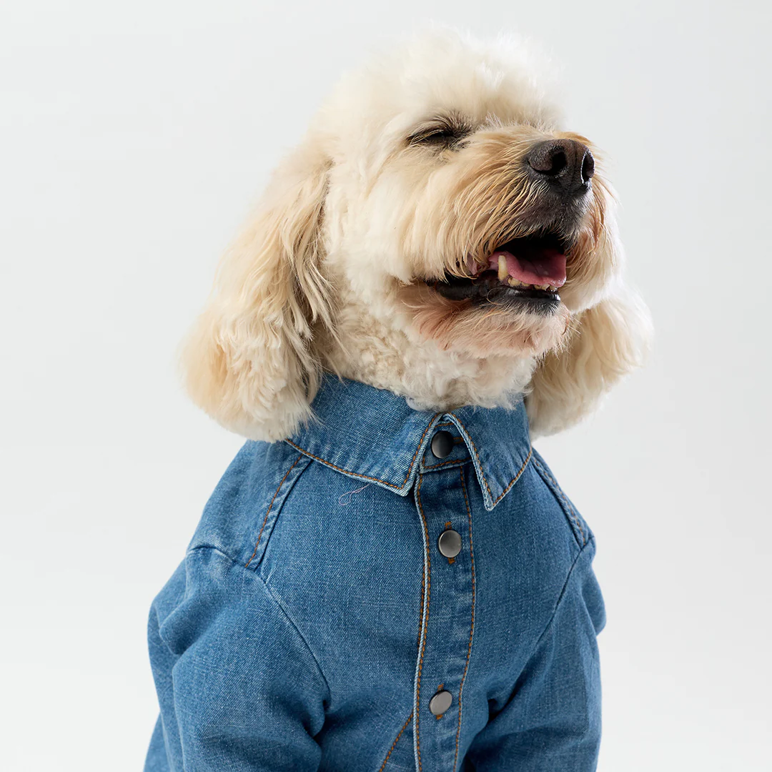 Denim Shirt - Image 5