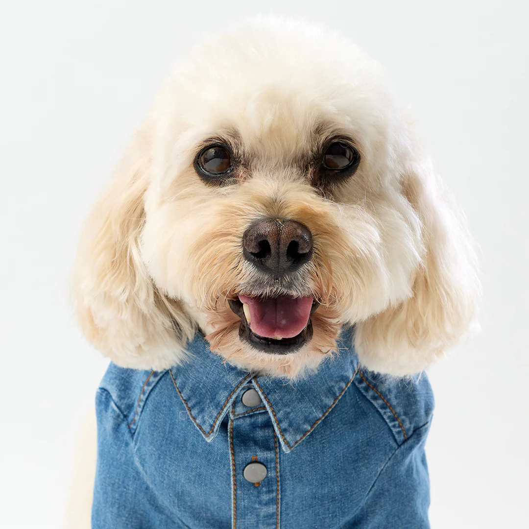 Denim Shirt - Image 6