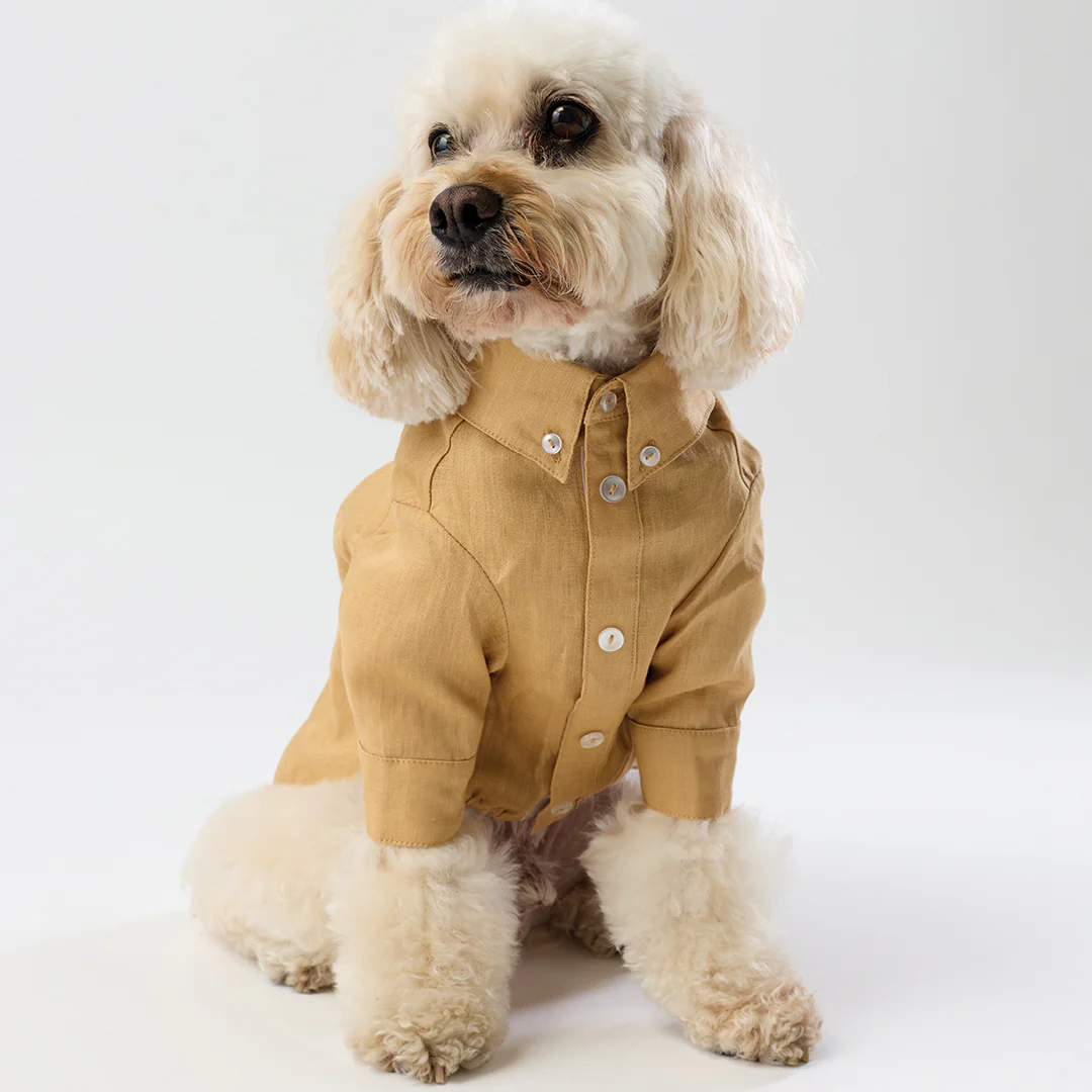 French Linen Shirt - Golden - Image 4
