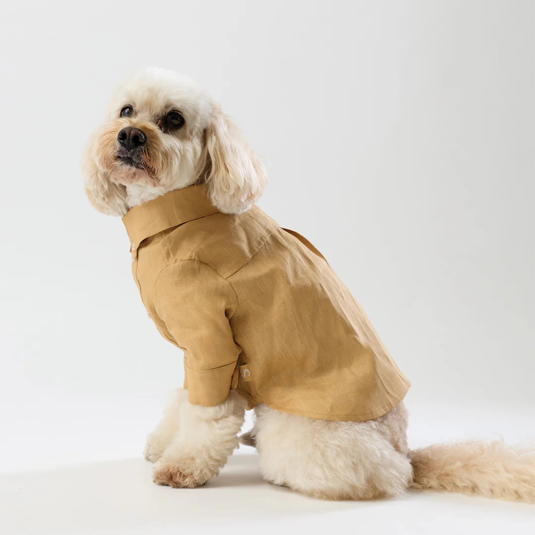 French Linen Shirt - Golden - Image 5