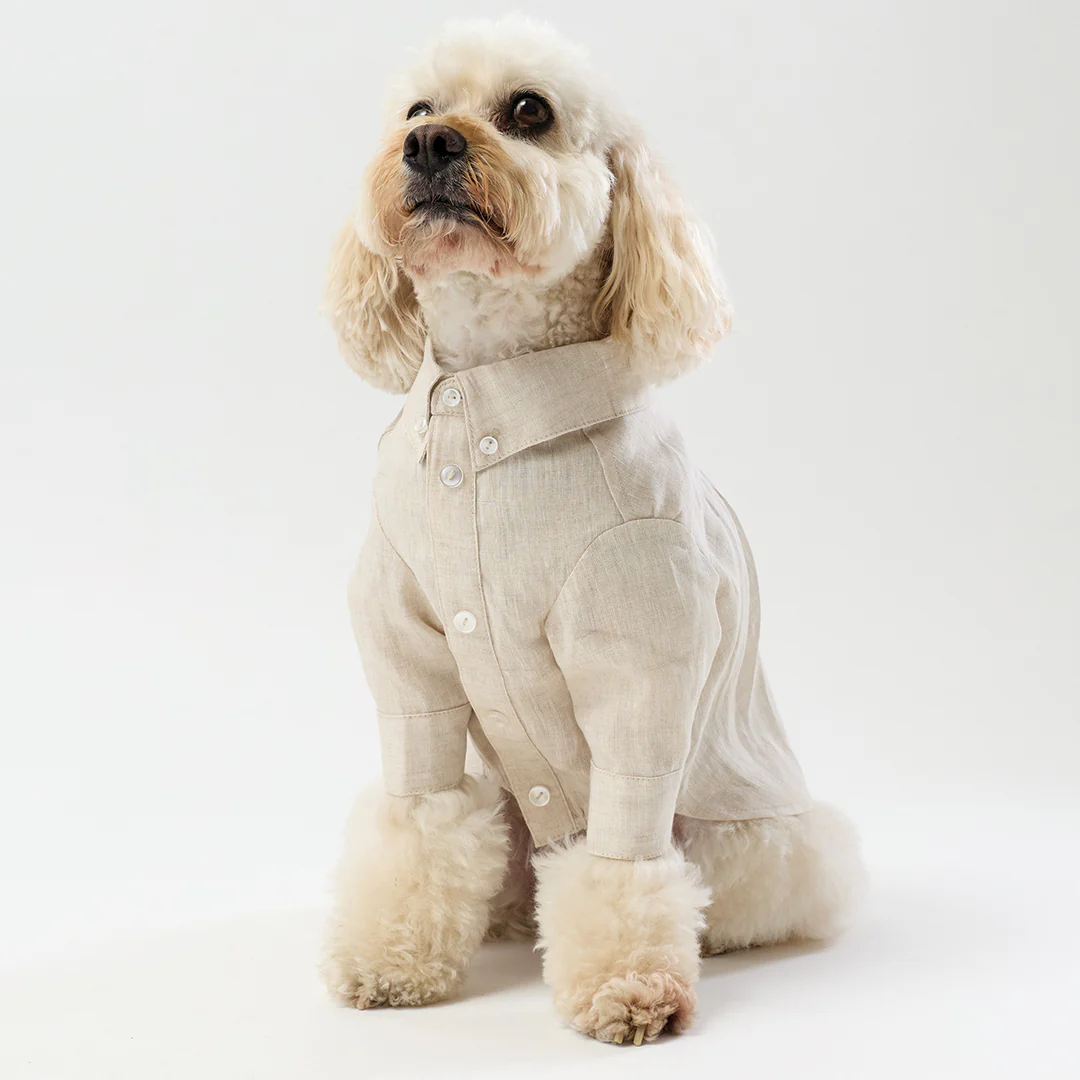 French Linen Shirt - Oat - Image 5