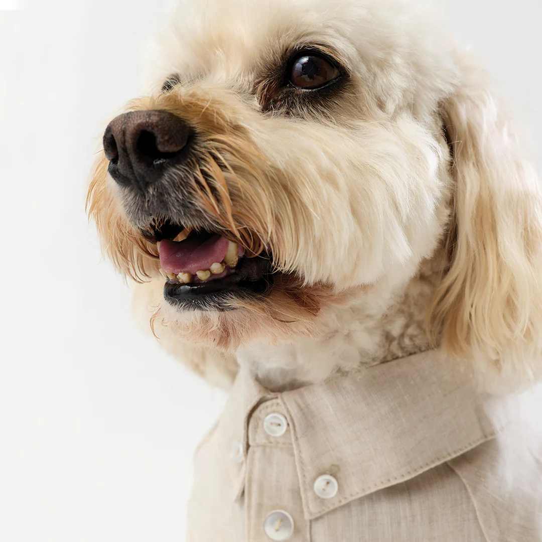 French Linen Shirt - Oat - Image 6