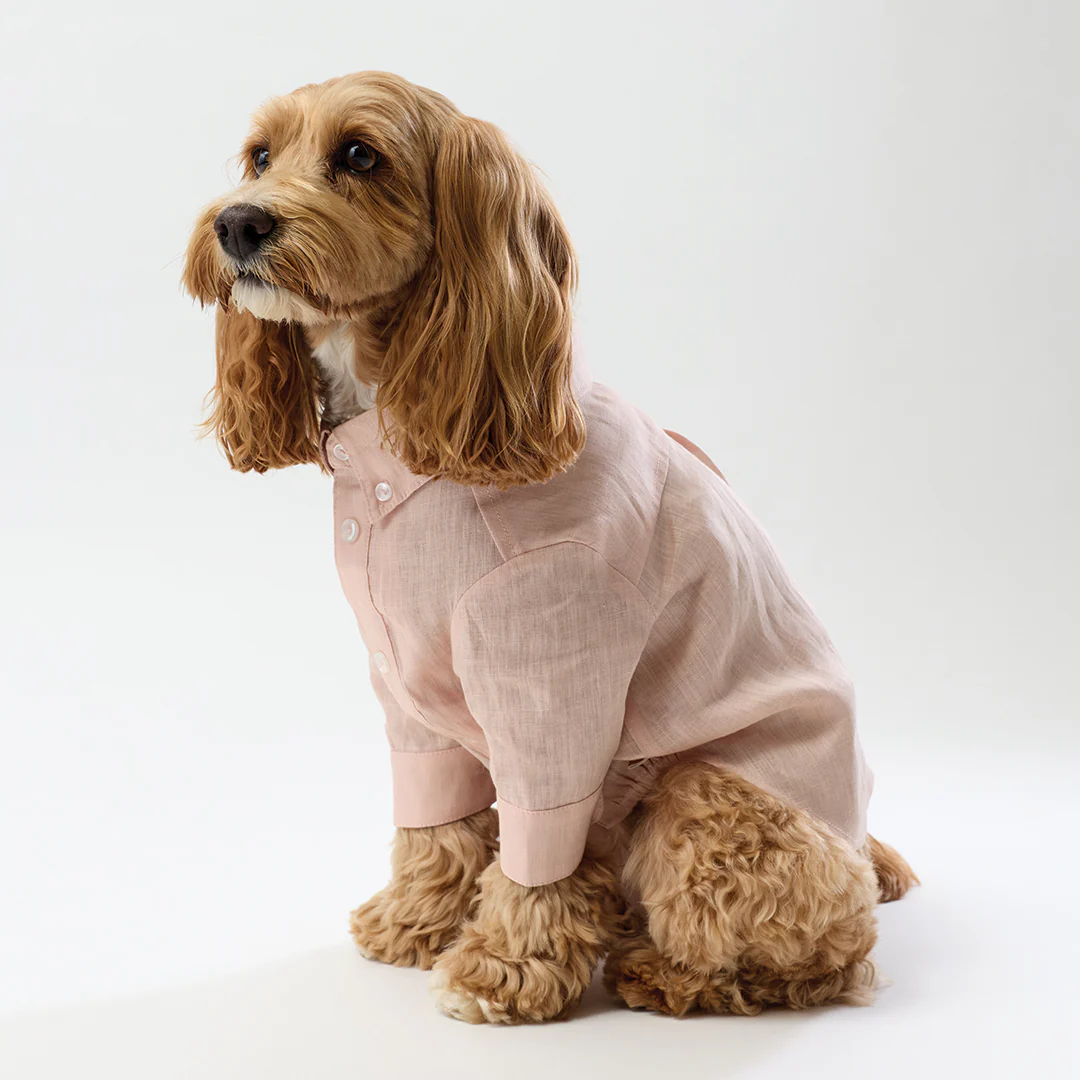 French Linen Shirt - Soft Pink - Image 5