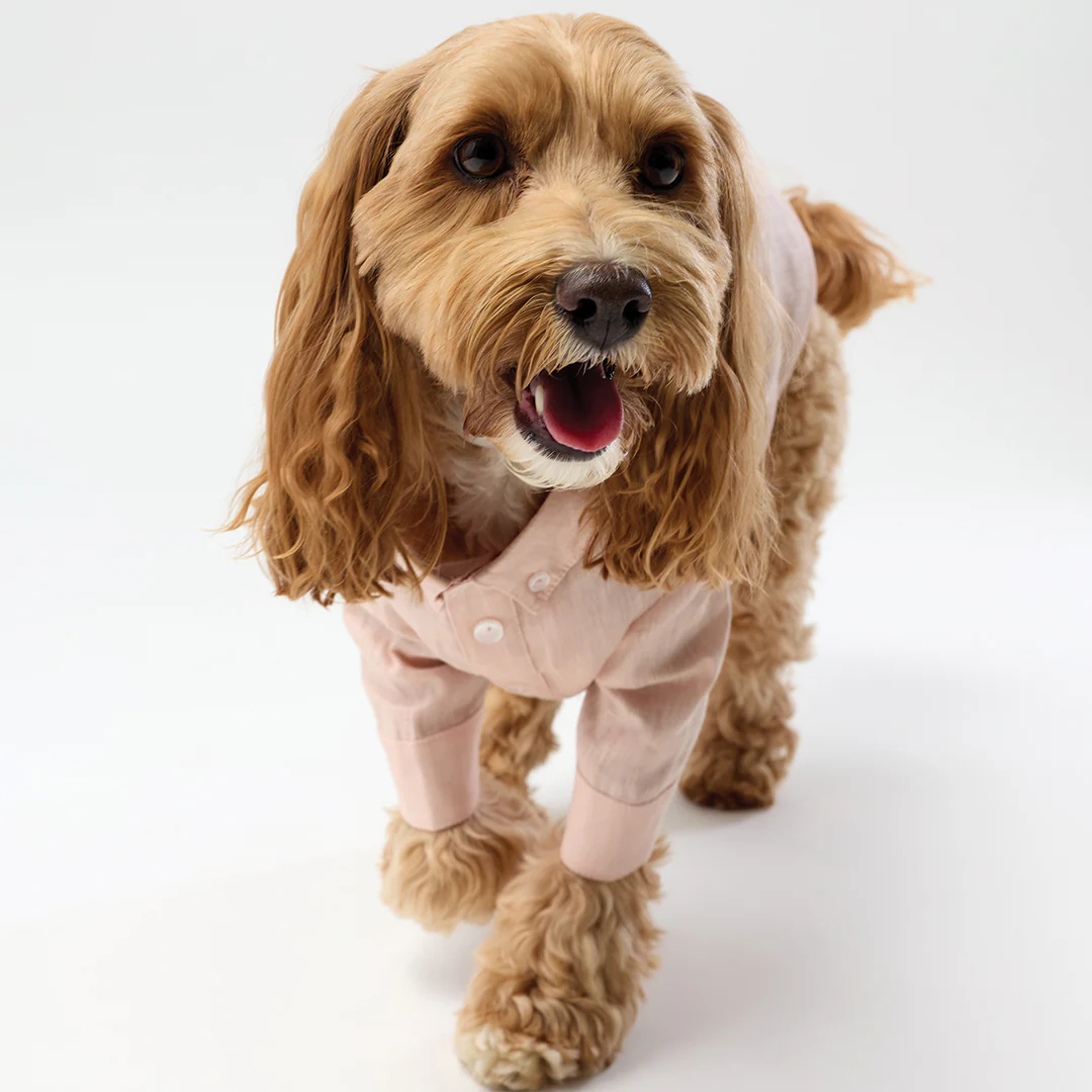 French Linen Shirt - Soft Pink - Image 6