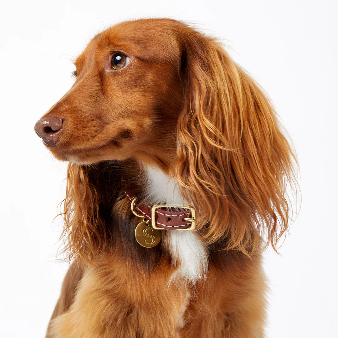 Leather Dog Collar - Cognac - Image 4
