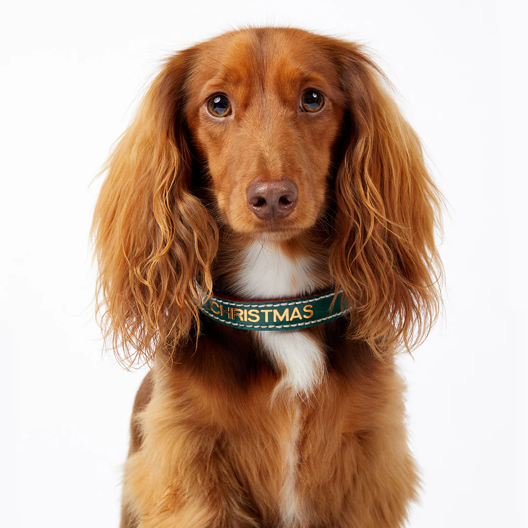Leather Dog Collar - Green - Image 4