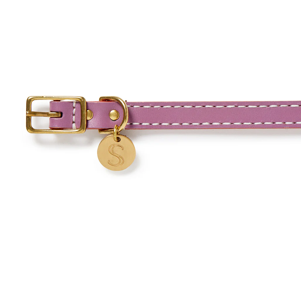 Leather Dog Collar - Violet - Image 3