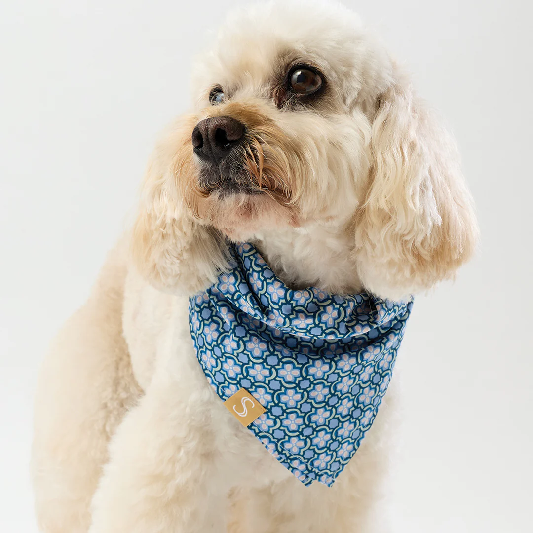Liberty Bandana - Blue Geo - Image 3
