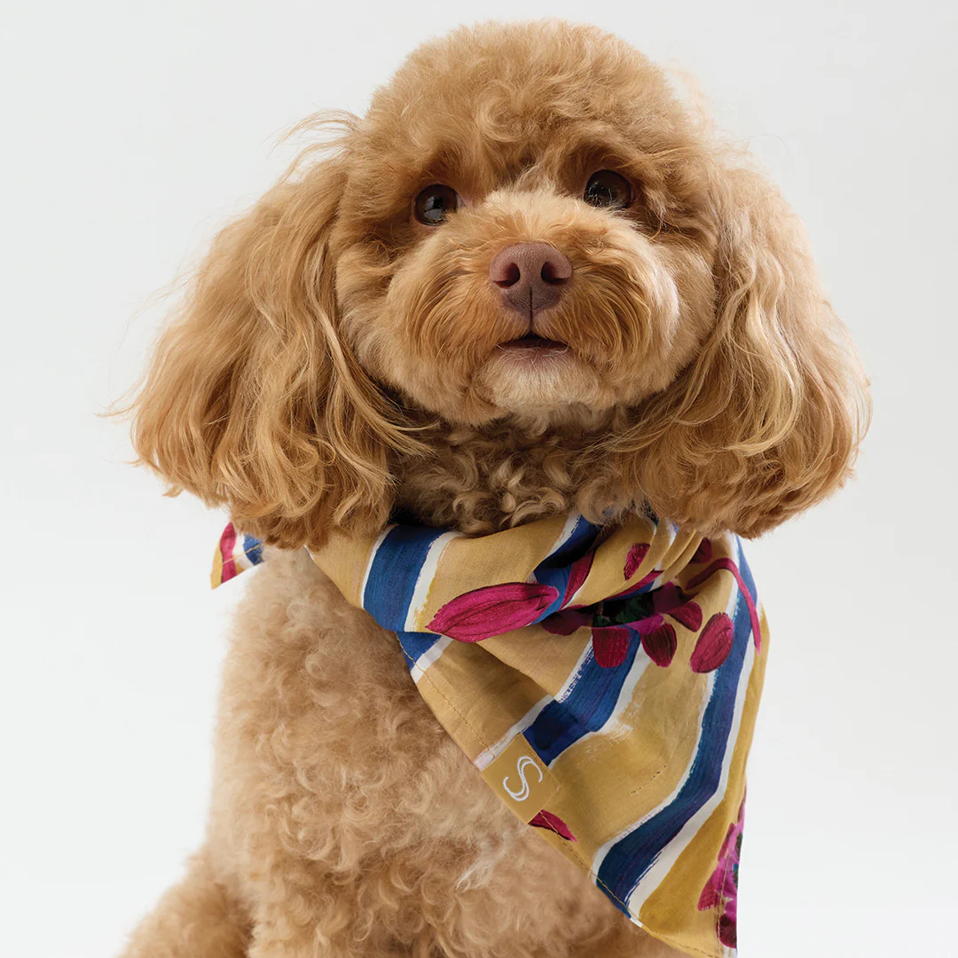 Liberty Bandana - Floral Stripe - Image 3