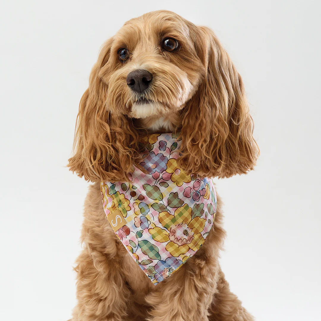 Liberty Bandana - Gingham - Image 3