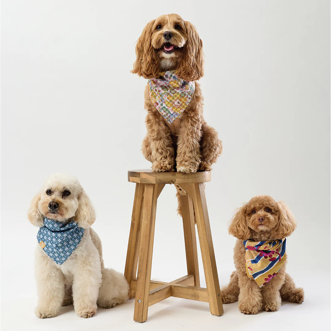 Liberty Bandana - Gingham - Image 4