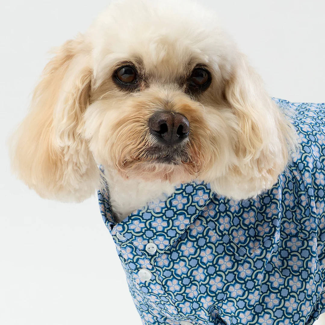 Liberty Shirt - Blue Geo - Image 7