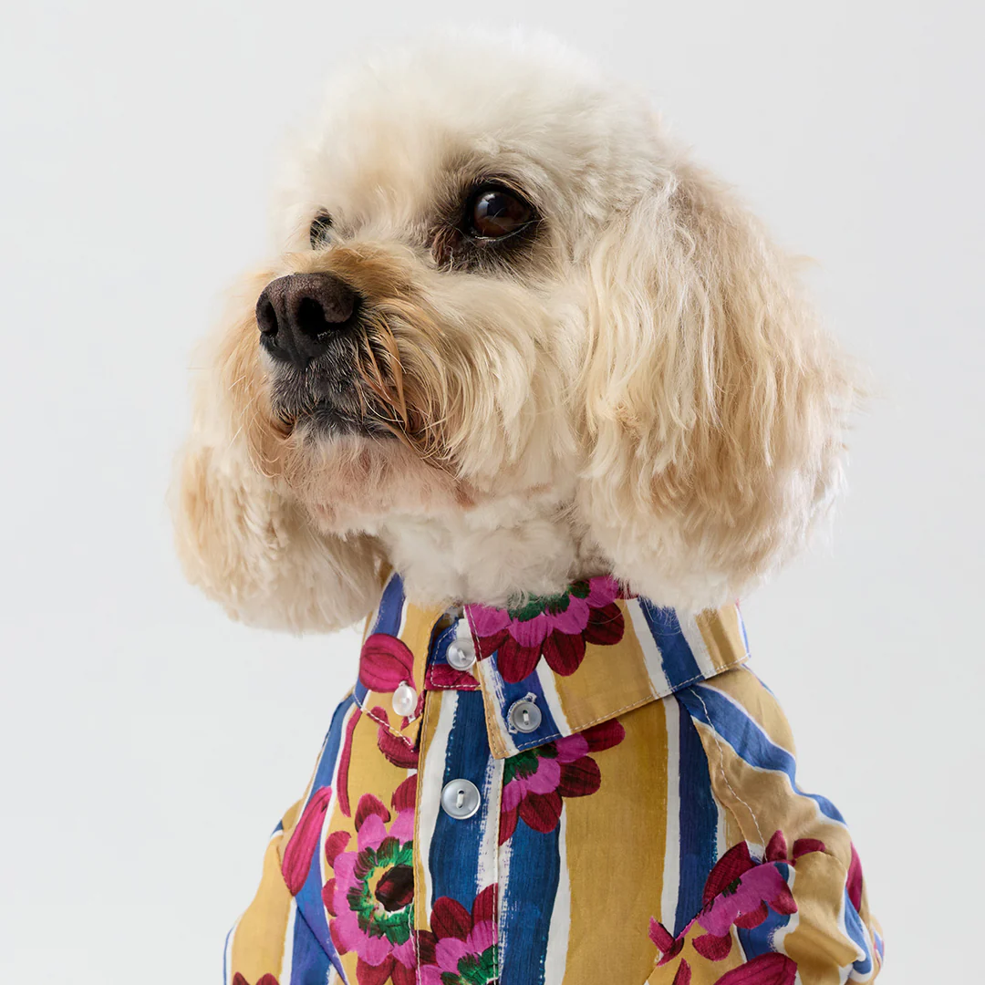 Liberty Shirt - Floral Stripe - Image 6