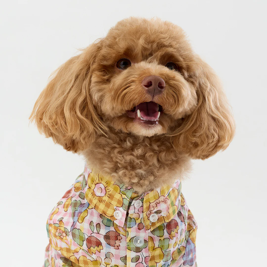 Liberty Shirt - Gingham - Image 6