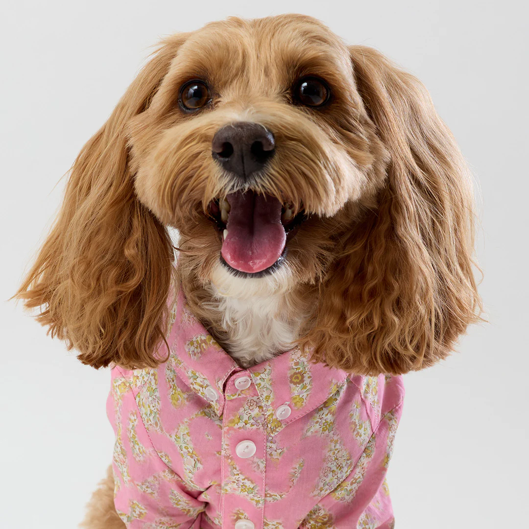 Liberty Shirt - Pink Hearts - Image 7