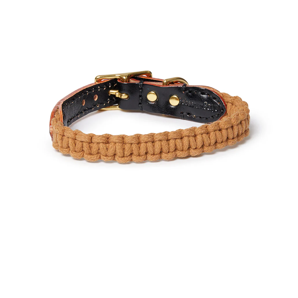 Macramé/Leather Dog Collar - Biscuit - Image 3