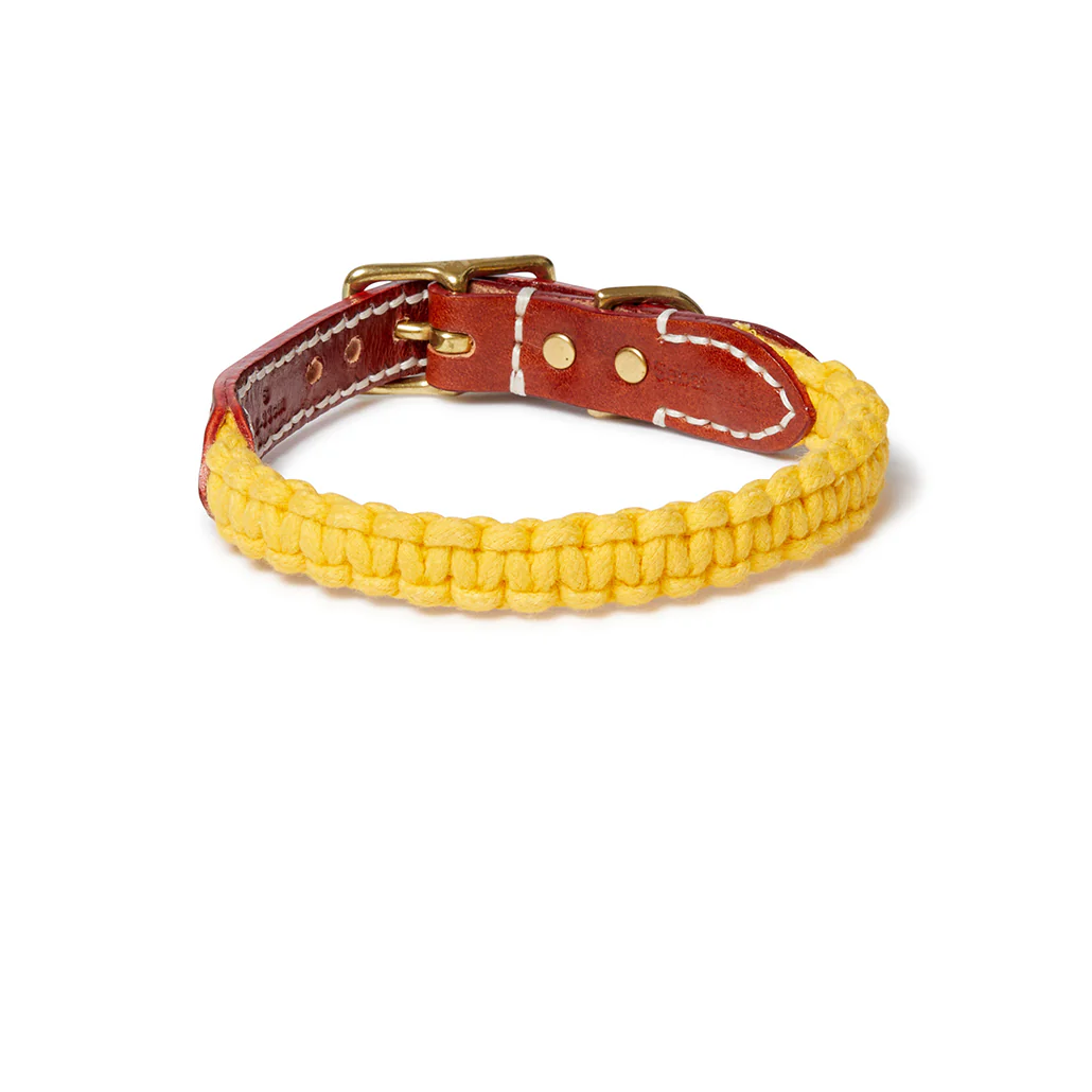 Macramé/Leather Dog Collar - Mustard - Image 3