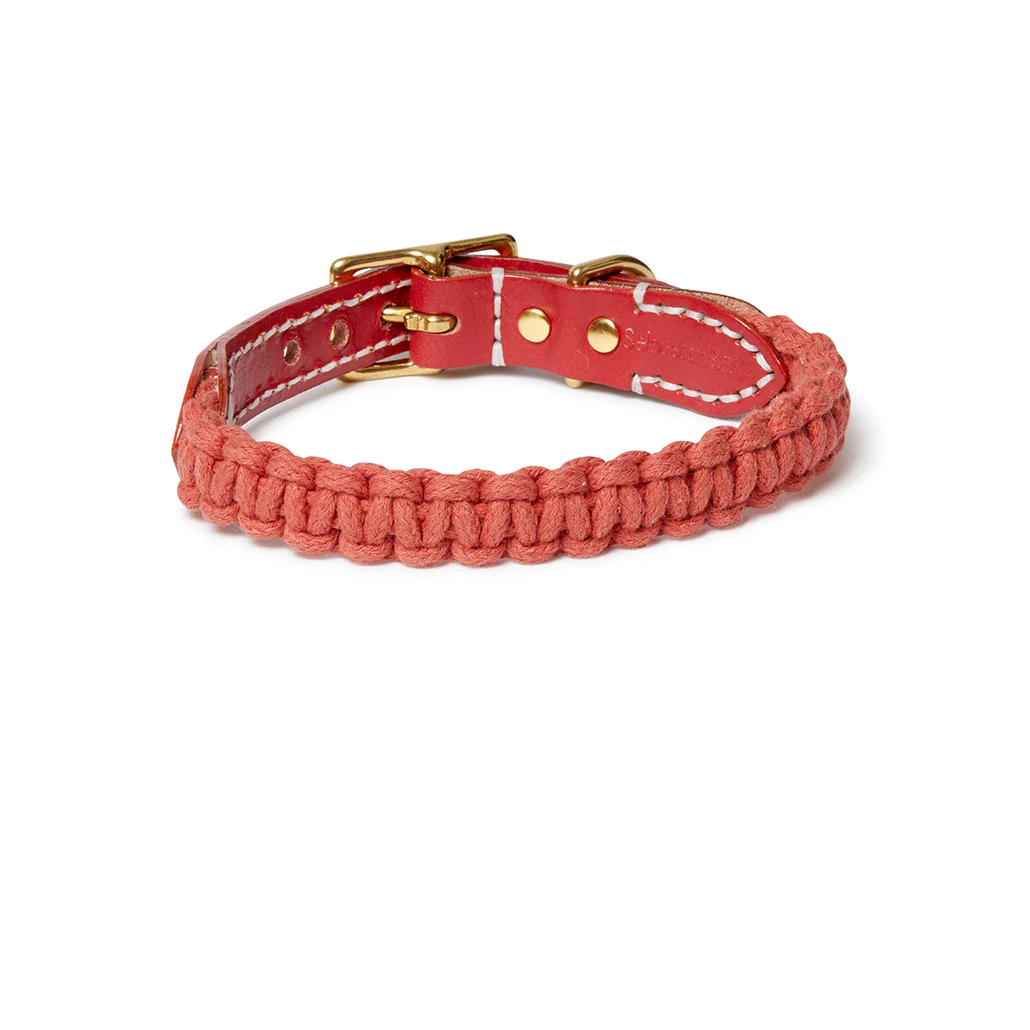 Macramé/Leather Dog Collar - Terracotta Red - Image 3