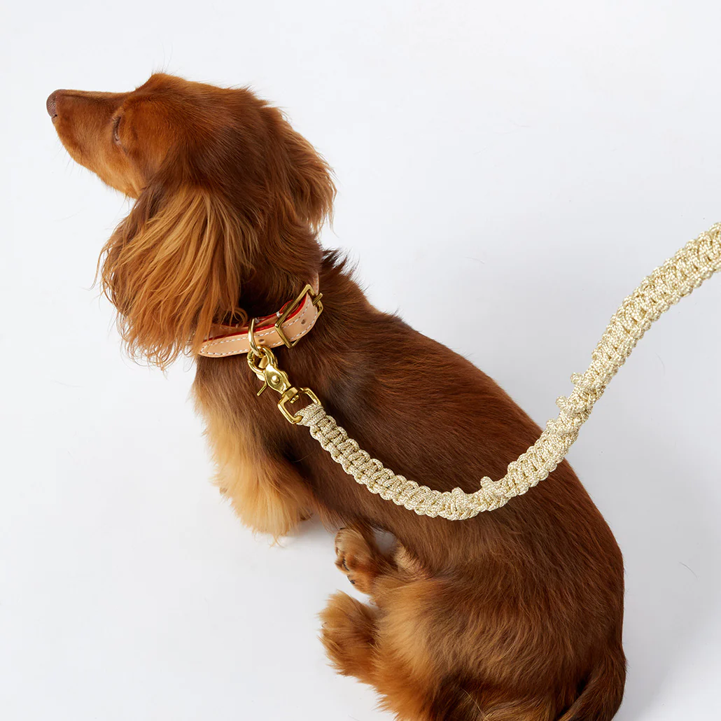 Macramé Originals Dog Lead - Gold - Image 6