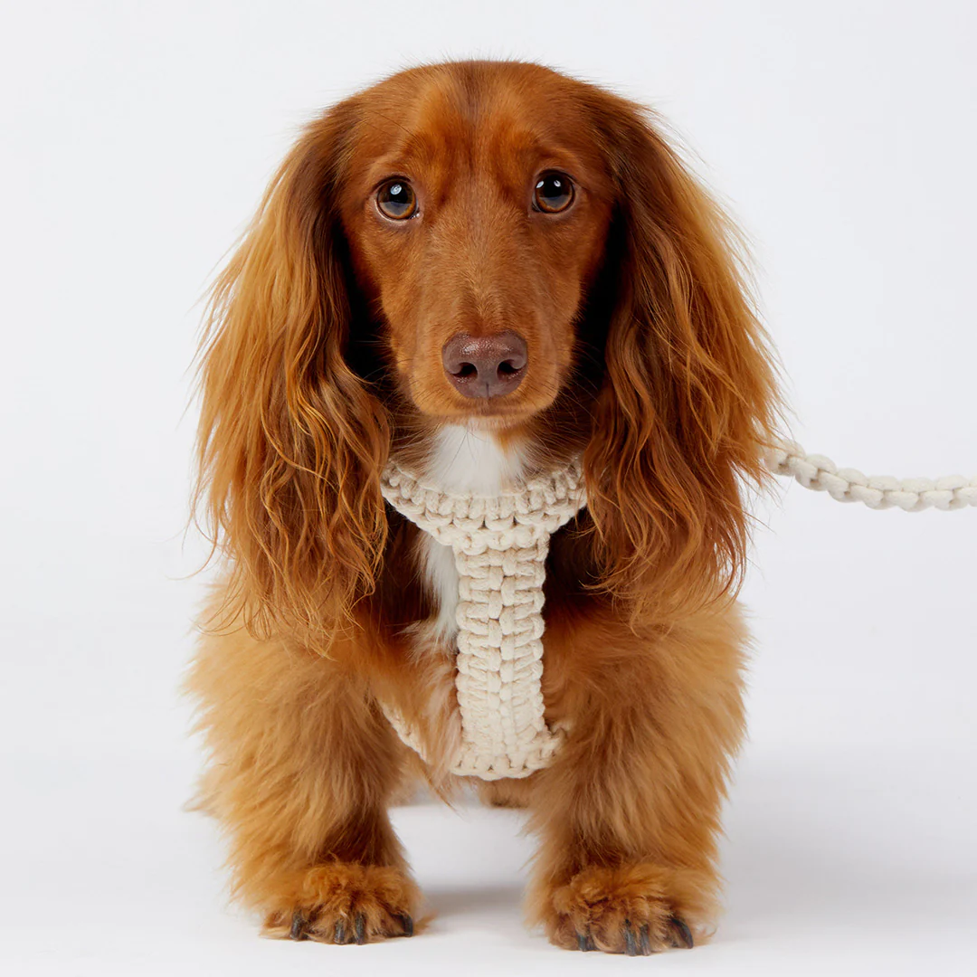 Macramé Originals Harness - Natural - Image 10