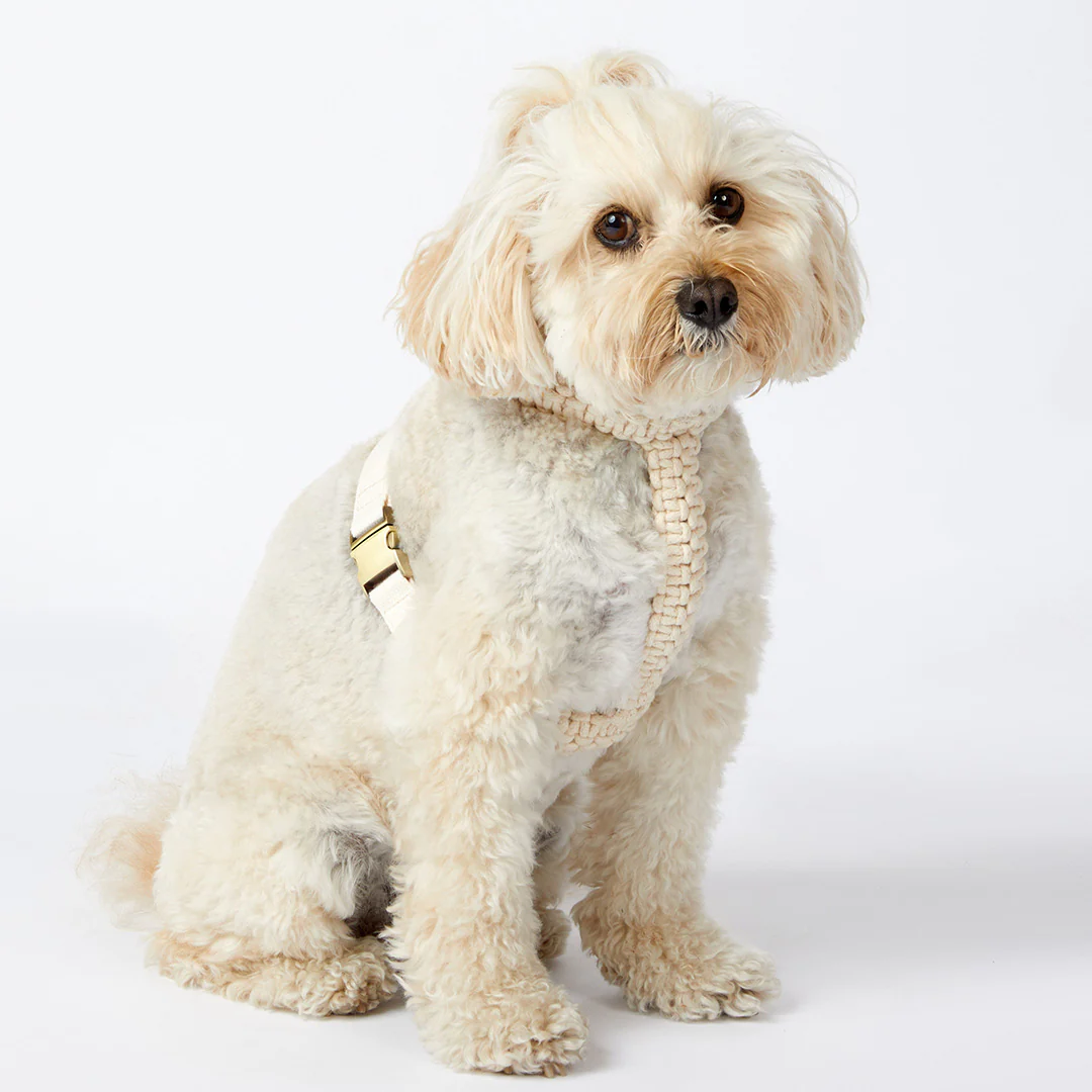 Macramé Originals Harness - Natural - Image 5