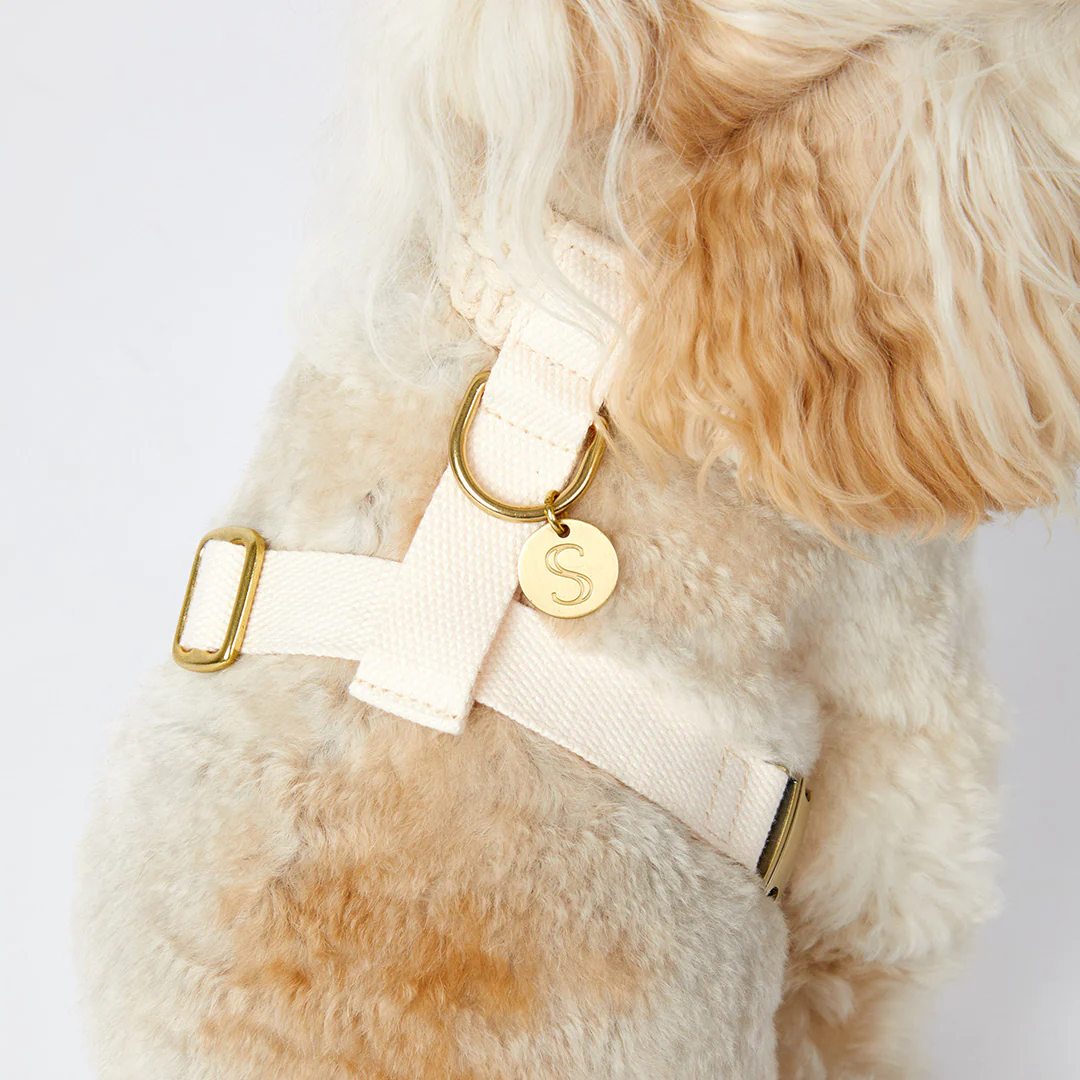 Macramé Originals Harness - Natural - Image 6