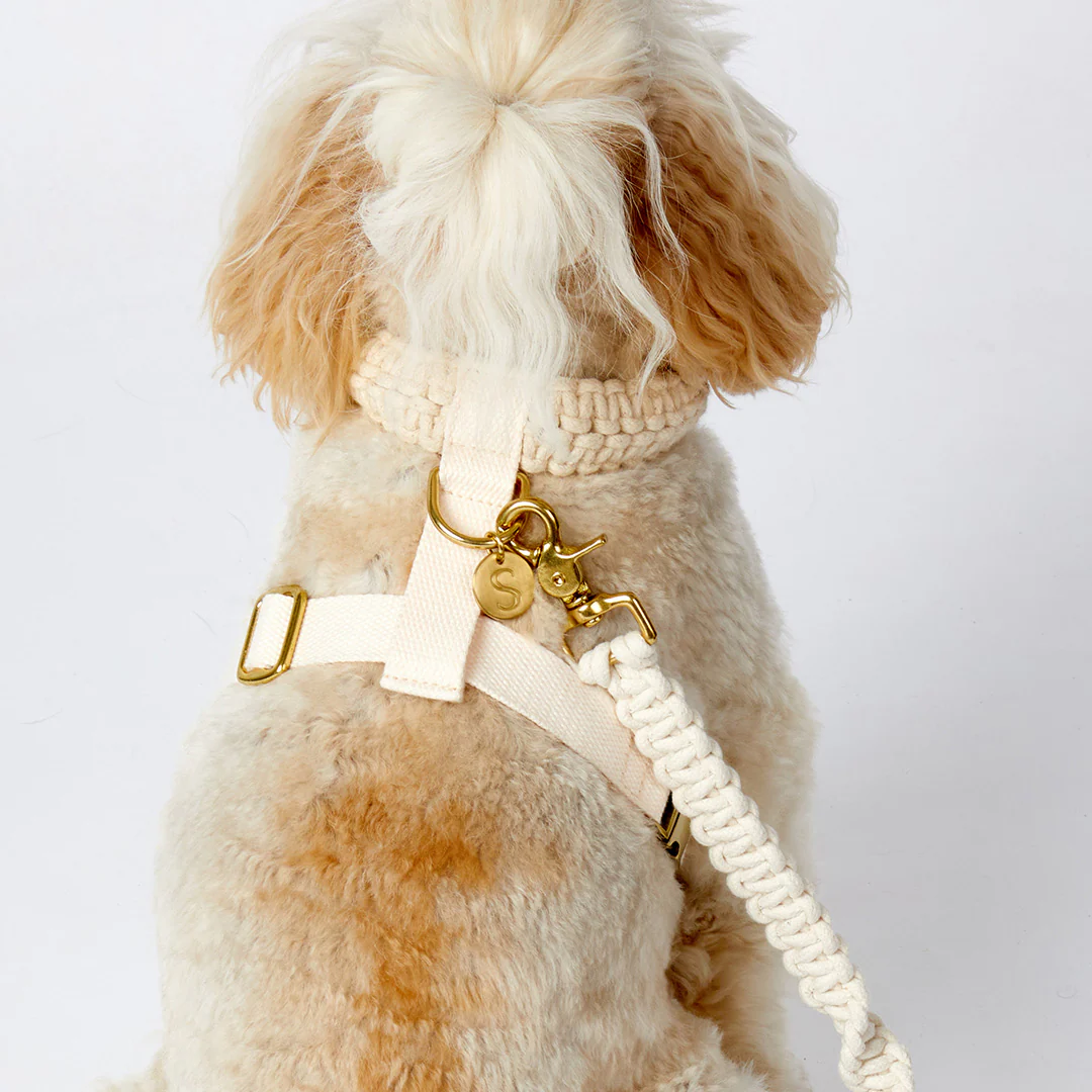 Macramé Originals Harness - Natural - Image 7