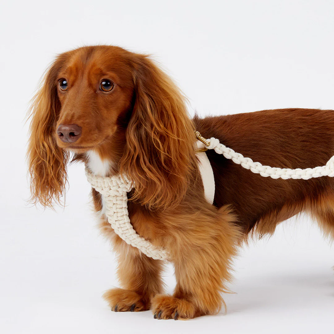 Macramé Originals Harness - Natural - Image 9