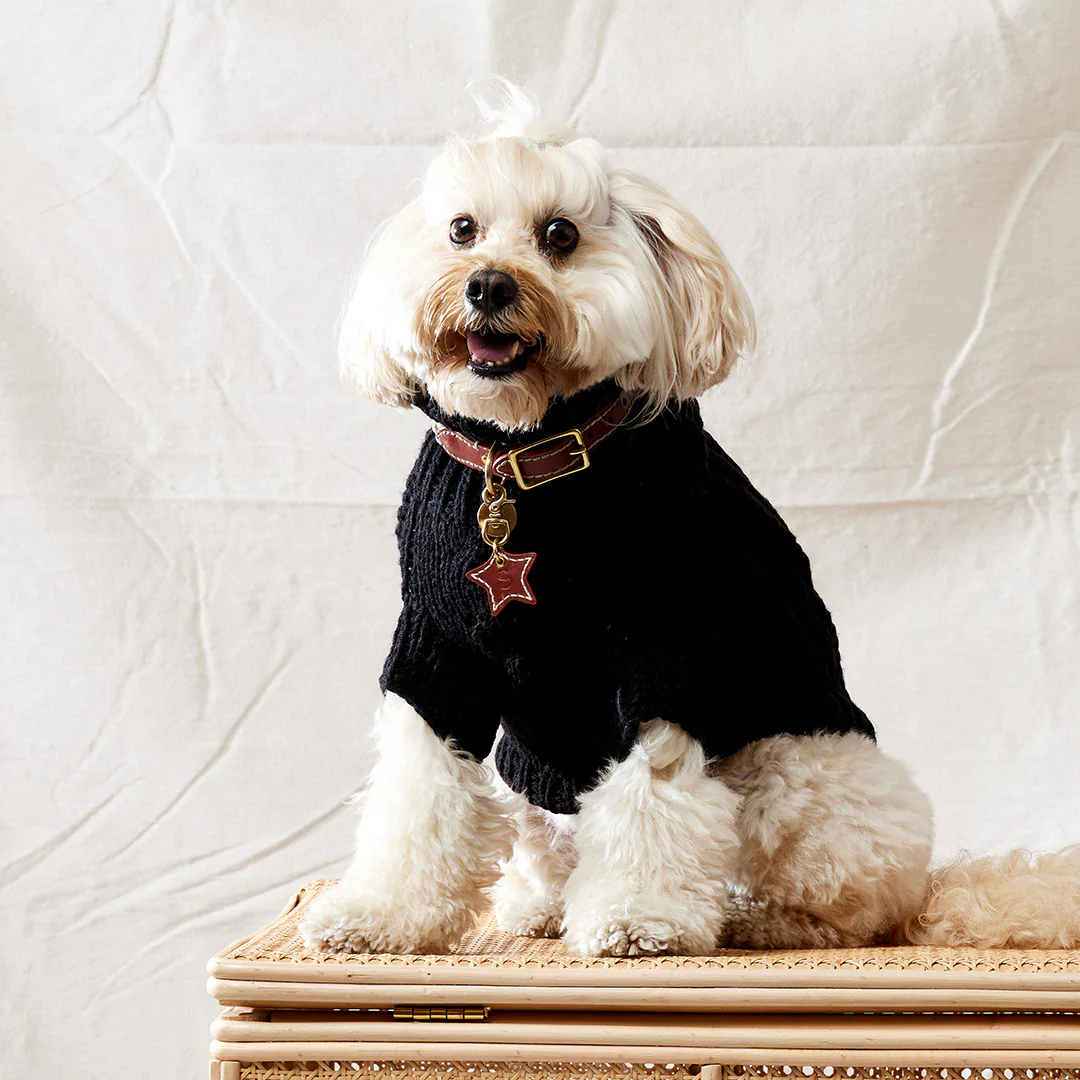 Merino Wool Cable Knit Dog Sweater - Black - Image 2