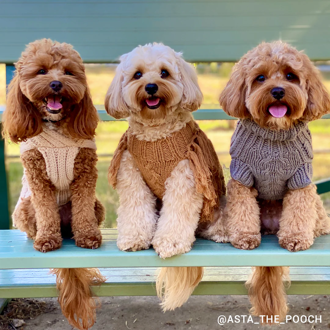 Merino Wool Fringe Knit Dog Sweater - Toffee - Image 8