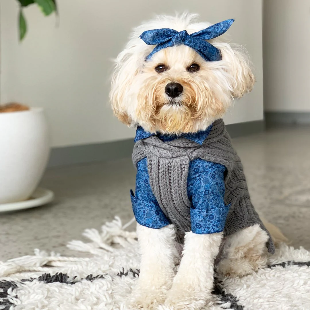 Merino Wool Weave Knit Dog Sweater - Charcoal - Image 5