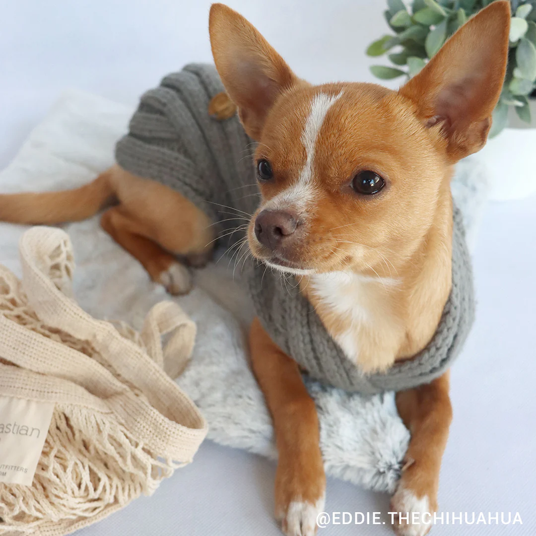 Merino Wool Weave Knit Dog Sweater - Charcoal - Image 6