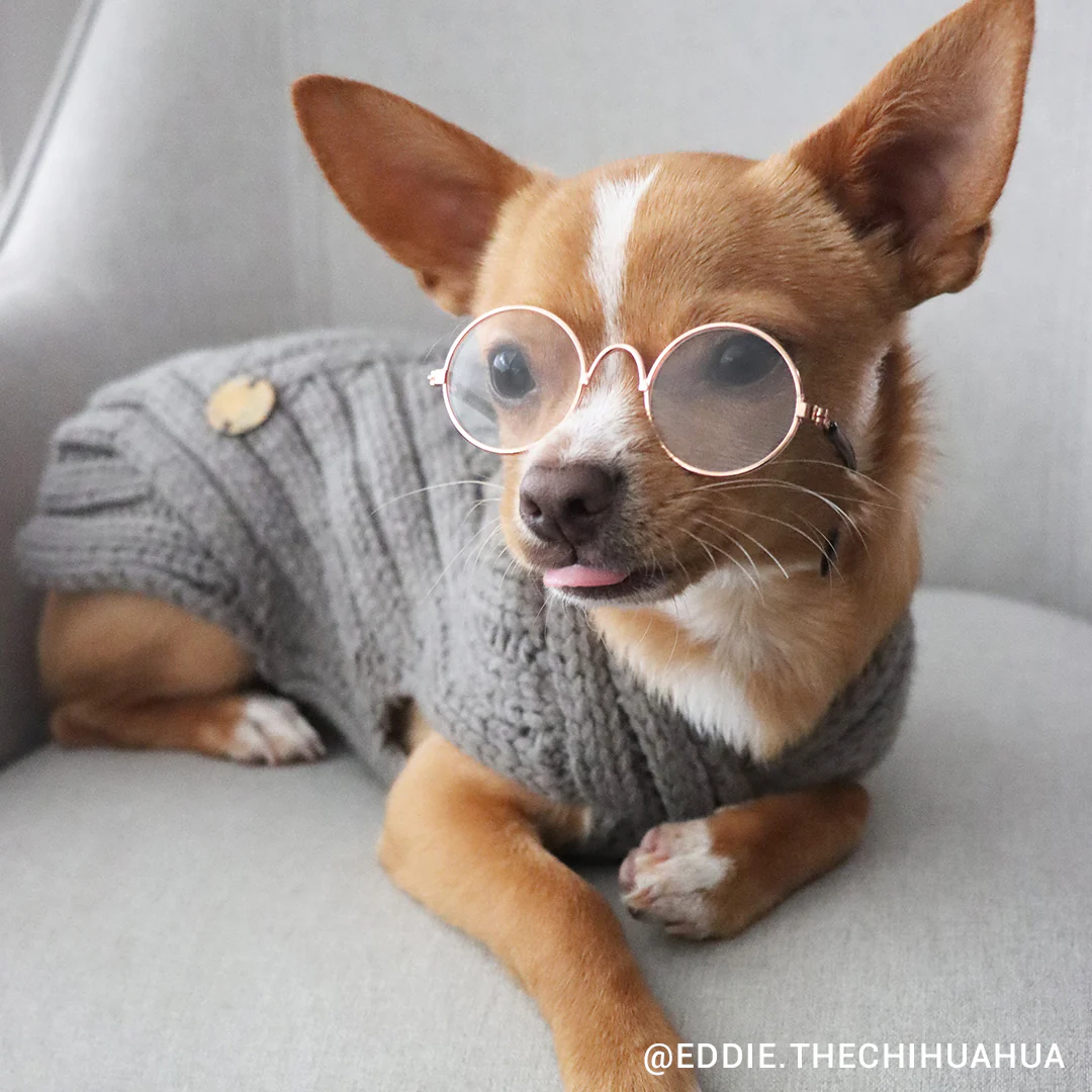 Merino Wool Weave Knit Dog Sweater - Charcoal - Image 7