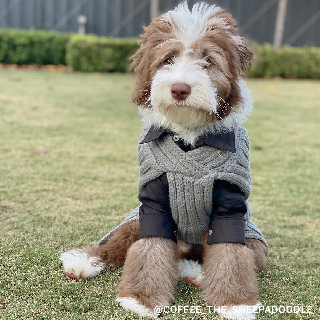 Merino Wool Weave Knit Dog Sweater - Charcoal - Image 8
