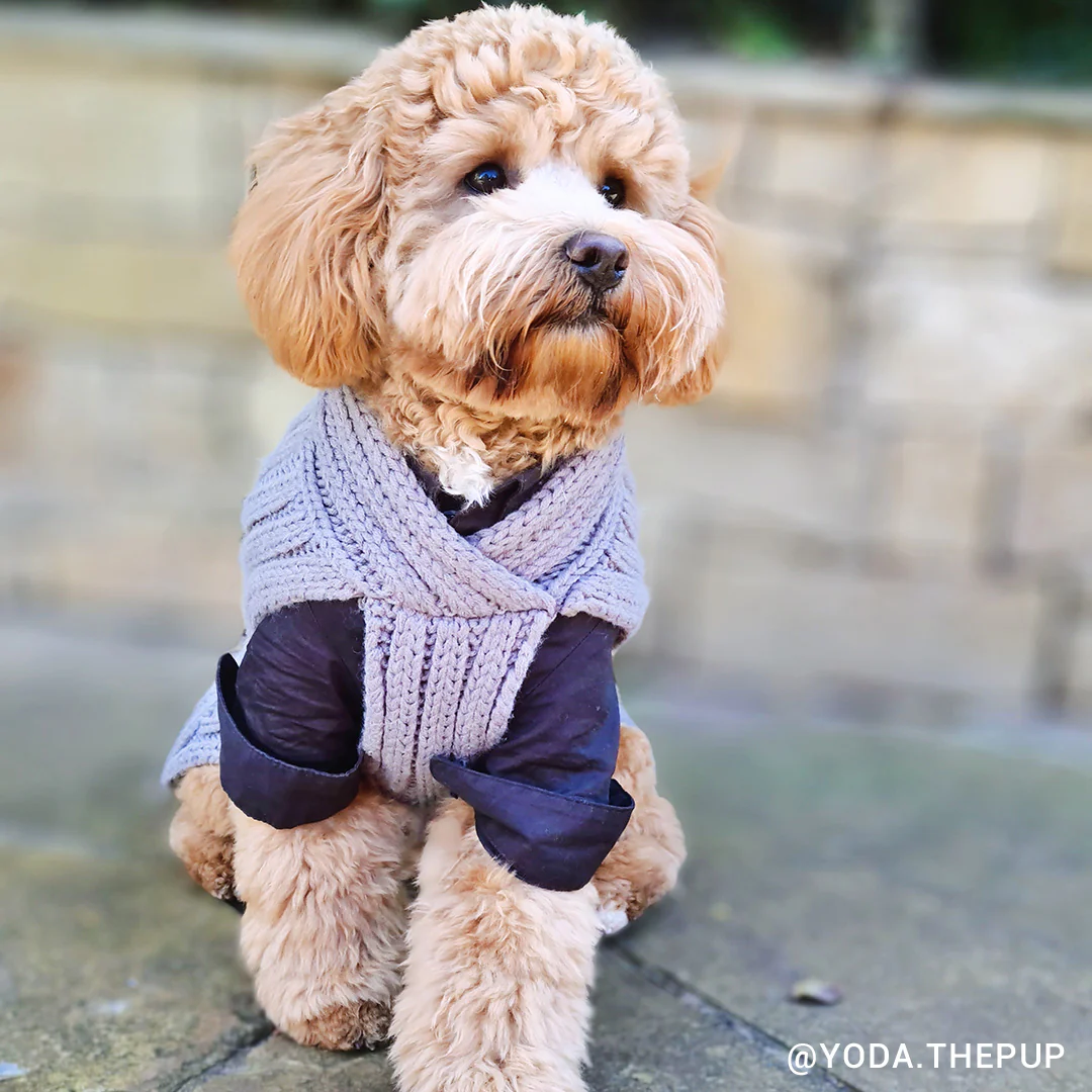 Merino Wool Weave Knit Dog Sweater - Charcoal - Image 9