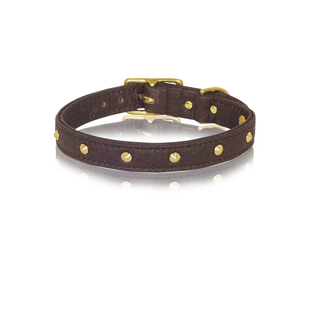 Piñatex Spike Dog Collar - Brown - Image 3