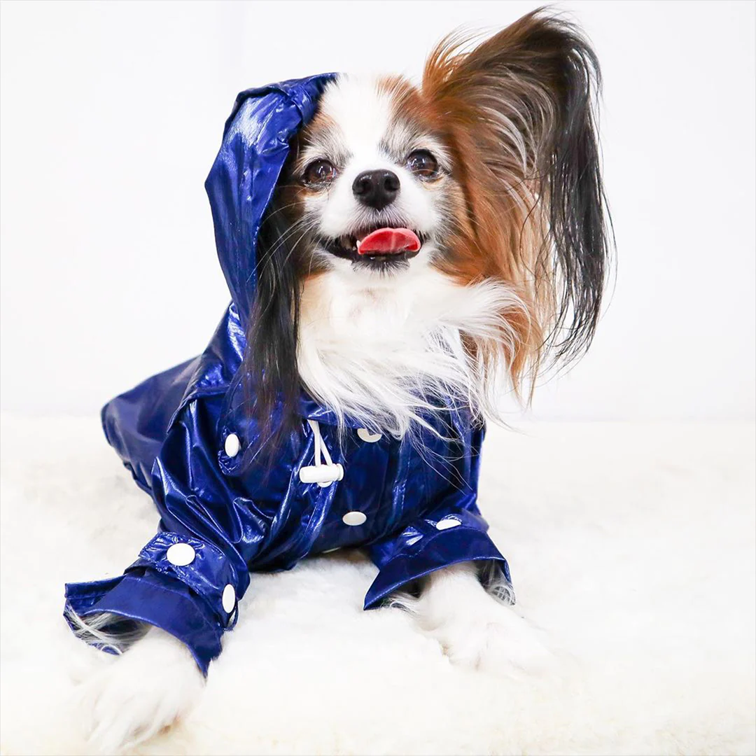 Raincoat - Cobalt - Image 7