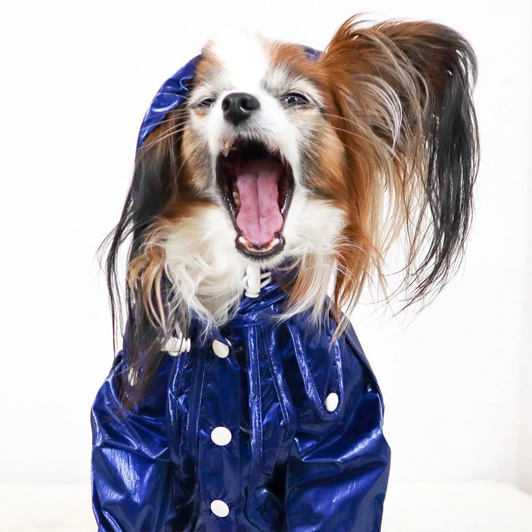 Raincoat - Cobalt - Image 8