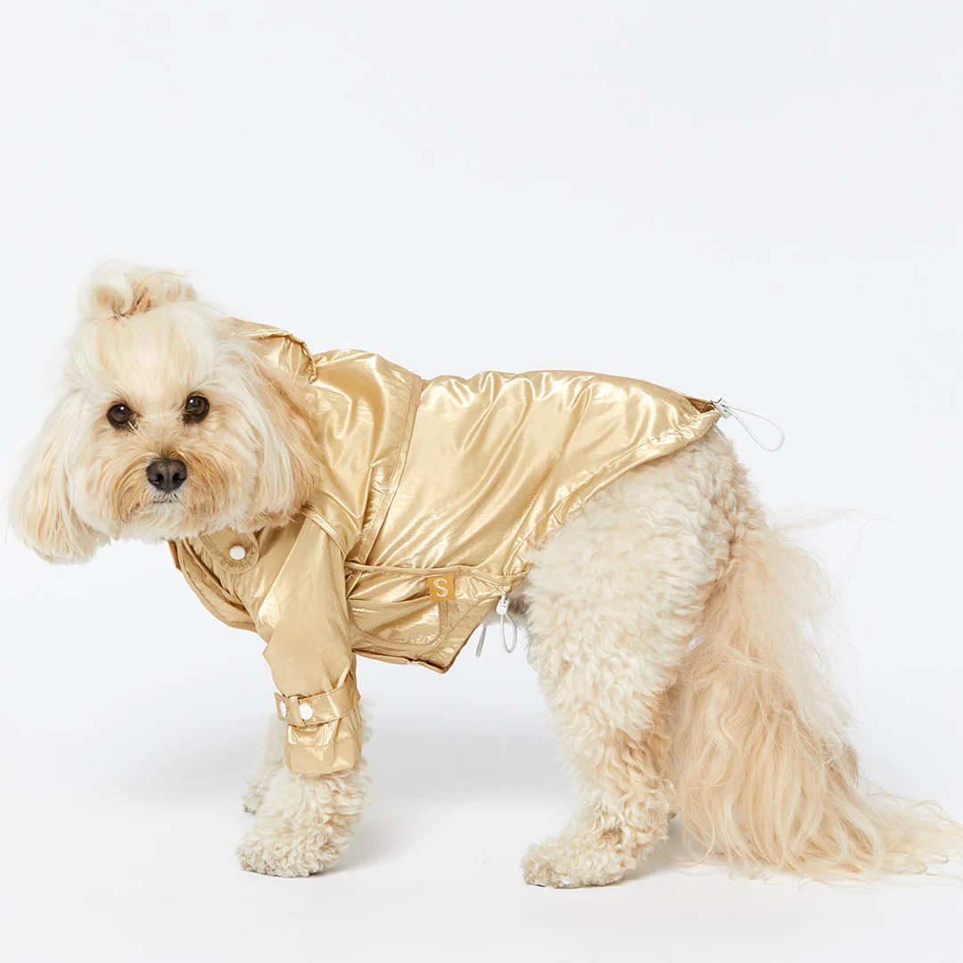 Raincoat - Gold - Image 8