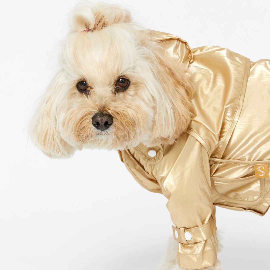 Raincoat - Gold - Image 9